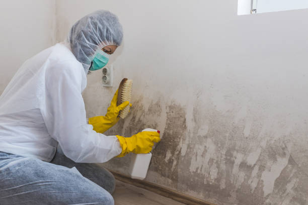 Water Damage Restoration in Newburg, WI